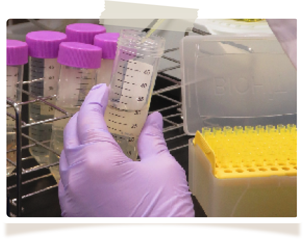 MGO値、農薬、抗生物質、微生物検査を実施
