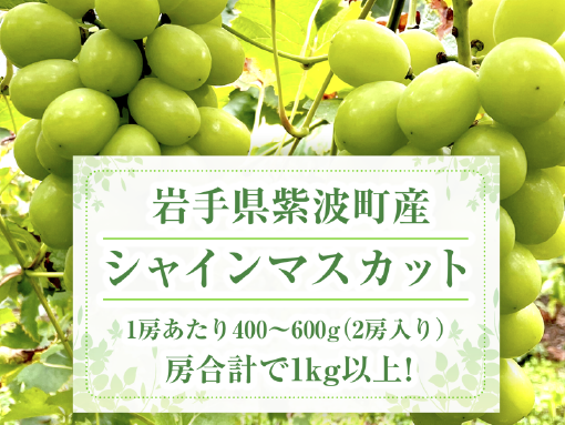 【予約販売】 南の出荷が終わる頃に旬を迎える岩手県紫波町産 シャインマスカット 約1kg（2房） 厳選詰合せ 皮ごと食べられる 東北 秋の味覚 産地直送